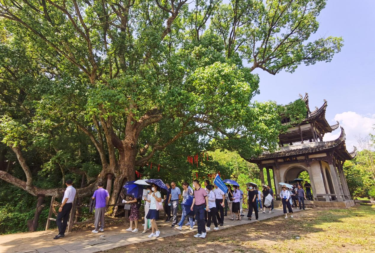 香港东方心正经版